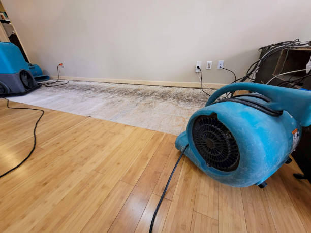 Professional Water Damage Repair technician working in Glenwood, IN